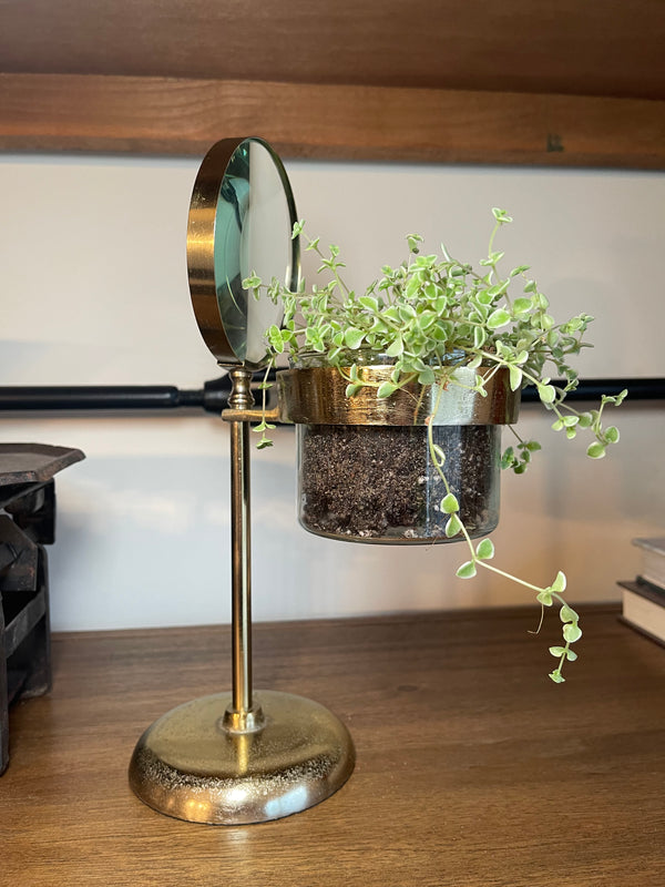 Magnifying Glass Planter