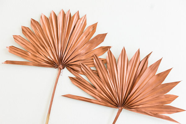 Dried Copper Sun Palms
