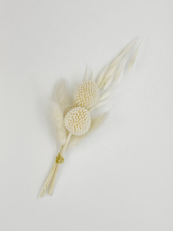 Bleached Craspedia | Bunny Tail Boutonniere